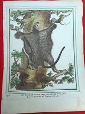 256 GRAVURE XVIIIe Histoire