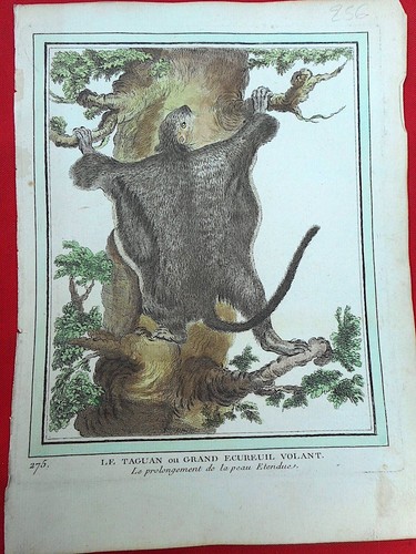 256 gravure xviiie histoire - xviiie,