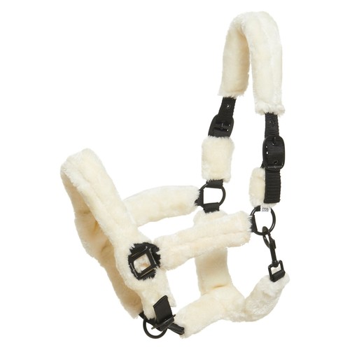 Harnais pour cheval avec - pour,