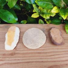 Polissoir/Meule et Grattoir du Néolithique Lot de 3 pièces - Ténéré, Sahara N...