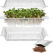 Germoir Czuprynka vert aux graines de radis