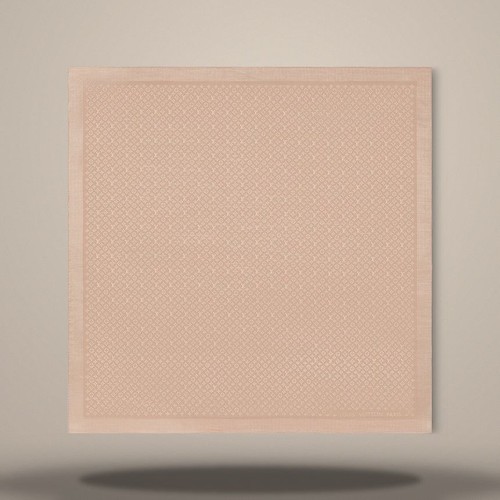 Louis vuitton étole evermore - louis,