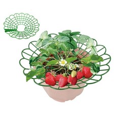 Lot de 10 cadres de support pour plantes en plastique pour fraises et autres cul