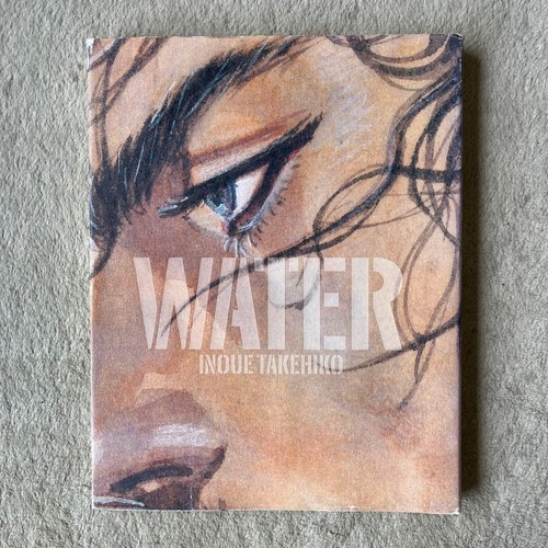 Takehiko inoue vagabond art - takehiko,