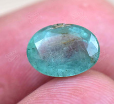 1.70 CT Vert Naturel Colombien Émeraude Ovale Certifié Ample Gemme