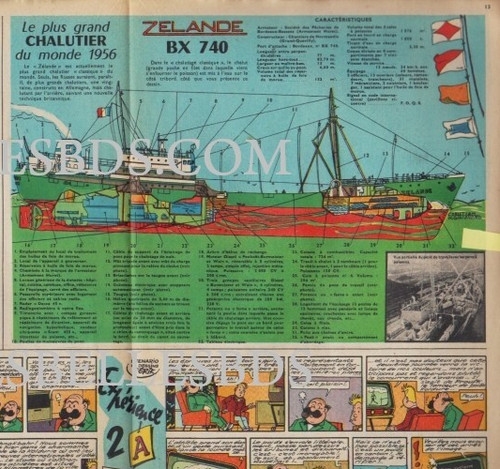 1958 document - (ref, 01)