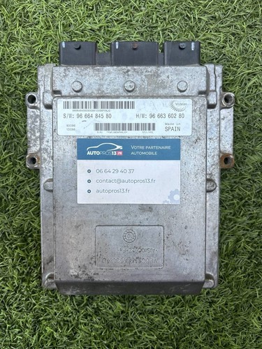 Calculateur moteur peugeot - moteur,