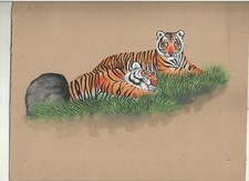 Peinture Miniature De Tigre Du Bengale Sauvage Art Ancien Fait Main En Aquarelle