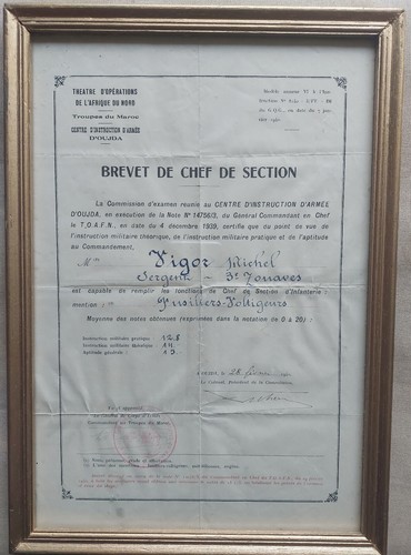 Brevet chef section - section, vigor