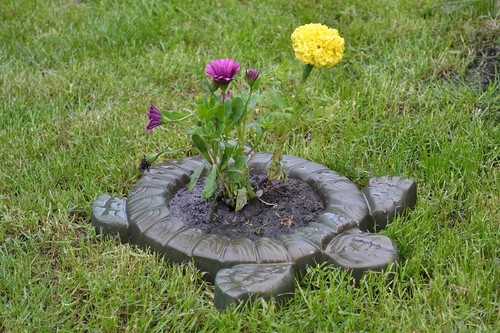 Moule béton tortue fleur - moule, en