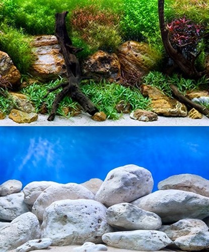 Poster fond aquarium - poster,