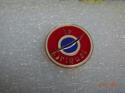 Superbe broche sabre - superbe,