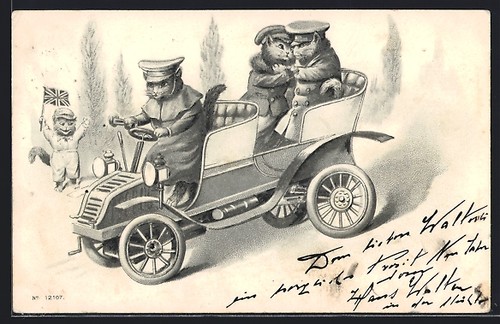 Carte postale couple chats - postale,