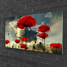 Tableau sur verre Image