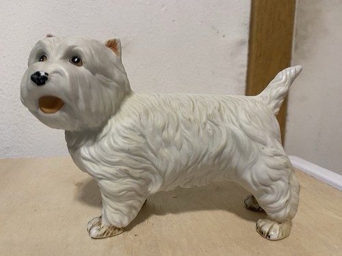 West highland terroir westie - west,