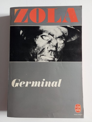 Emile zola germinal livre - emile,