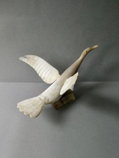 oiseau de mer, en corne de