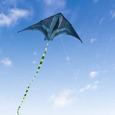 Yongjian 2m Aircraft Kite Delta Kite Suitable for outdoor camping with large adu