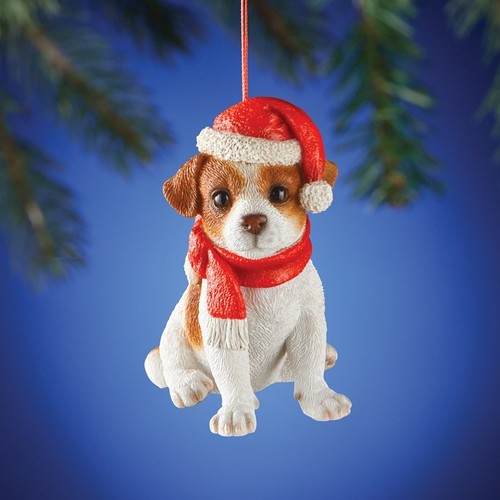 Adorable chiot jack russel - adorable,