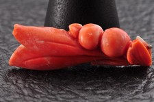 Ancien corail rouge sculpté