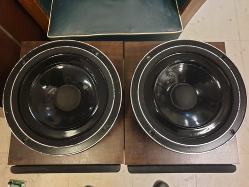 Boomer medium audax - 2, x