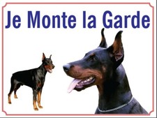 Attention au chien, Je monte