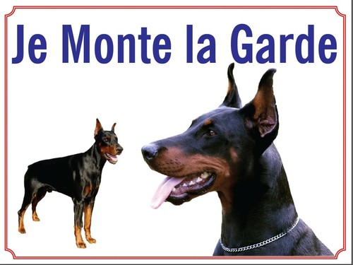 Attention chien je monte - au,
