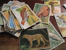 lot de 48 images album biscotte ST luc en bon etat