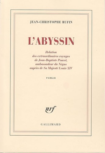 Abyssin rufin - l'abyssin,