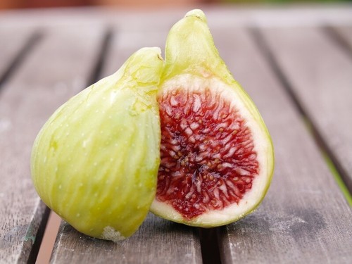 Ficus carica col - carica, dame