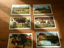 6 anciennes CARTES POSTALES en