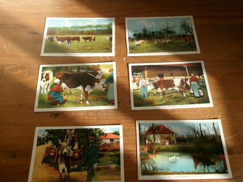 Anciennes cartes postales en - anciennes,