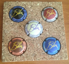 LOT de 5 CAPSULES '' BLIN ''