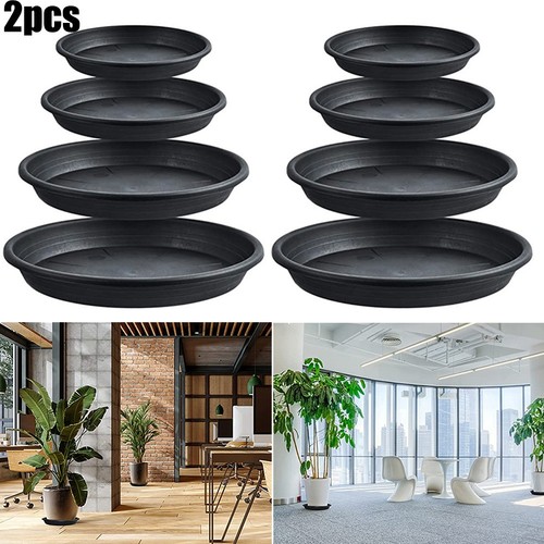Rond plastique noir plante - plante, pot