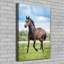 Tulup Tableau Sur Toile Image Imprimé 70x100 - Cheval sur le terrain