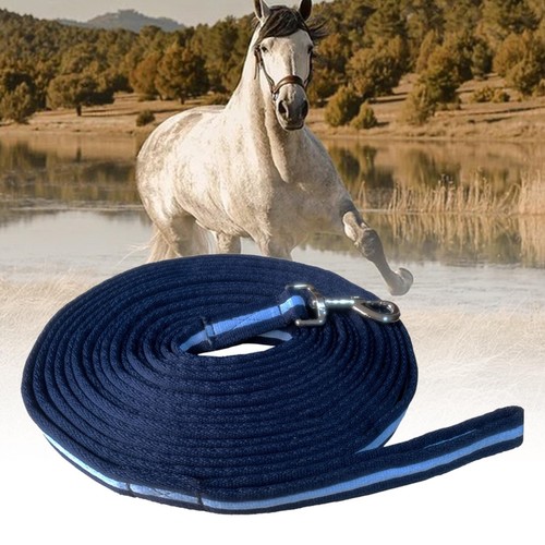 Longe sangle laisse de - de,