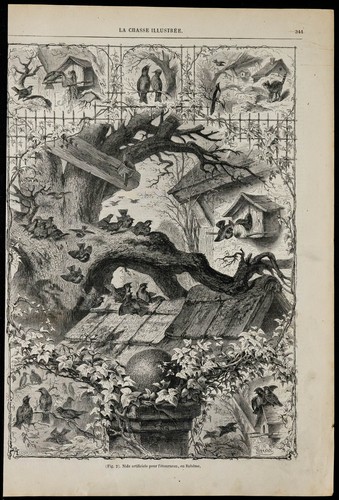 1869 nids artificiels - artificiels, pour