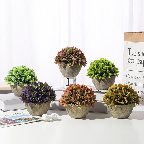 Simulation pot plante - simulation, en