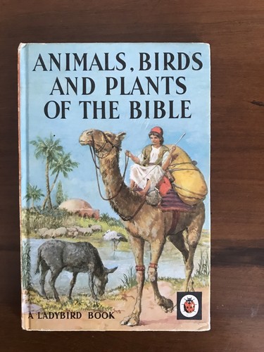 Vintage ladybird book - book,