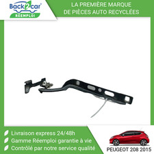 🏆 COMPAS GAUCHE CAPOT