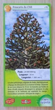 CARTE MERVEILLES DU MONDE -
