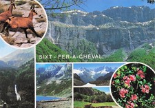 74 SIXT FER A CHEVAL CIRQUE DU