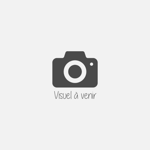Bob bricoleur le - bricoleur,