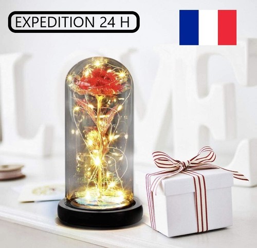 Rose éternelle lumineux sous