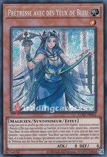Yu-Gi-Oh! Prêtresse avec des Yeux de Bleu : SE LCKC-FR016