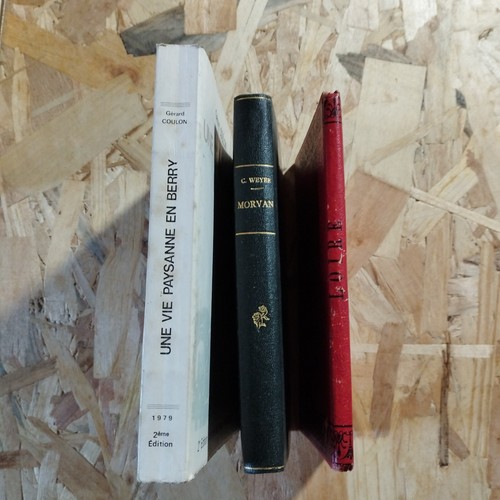 Lot anciens livres - 3,