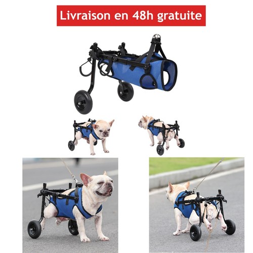 Fauteuil roulant pour chien
