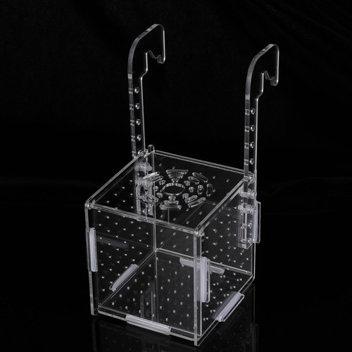 Pondoir poule incubateur - poule,