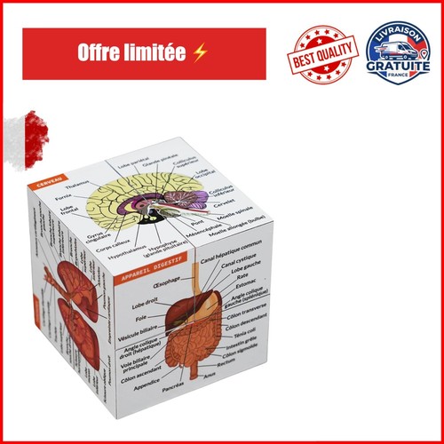 Cube étude anatomie - cube, d'étude