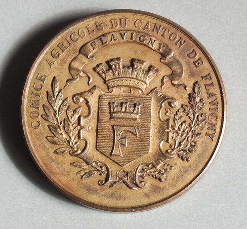 Medaille bronze comice - bronze,